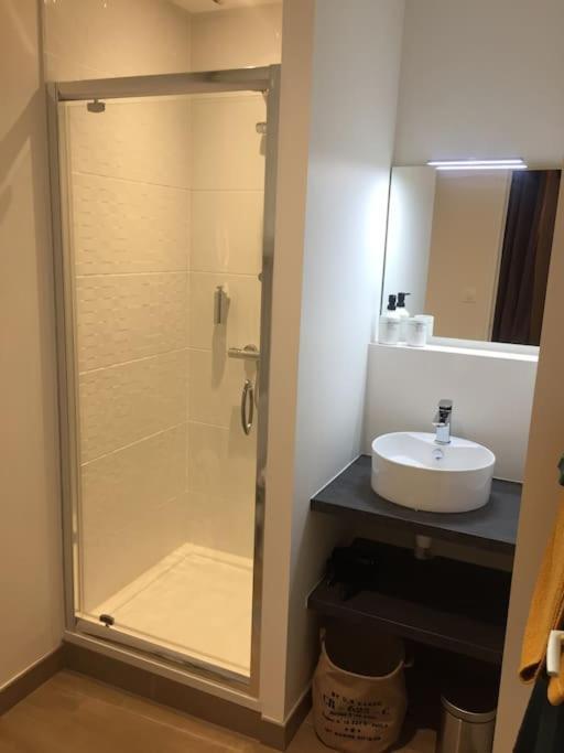 Appartement En Coeur De Ville Angers Eksteriør billede